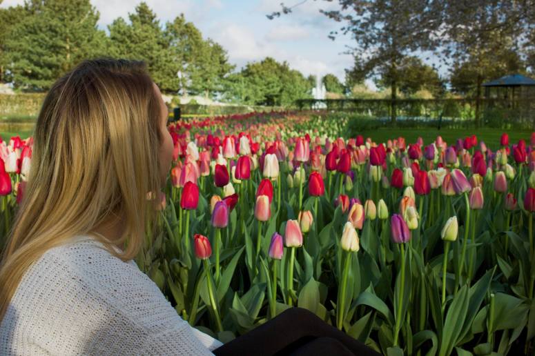 18015631_1730567283900466_99840346_o