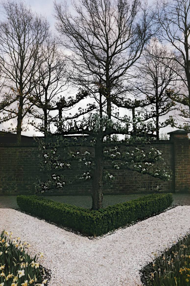 18043112_1730566980567163_2110483269_o