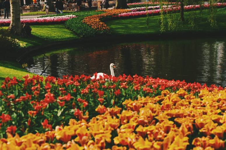 18049745_1730566813900513_1062837807_o