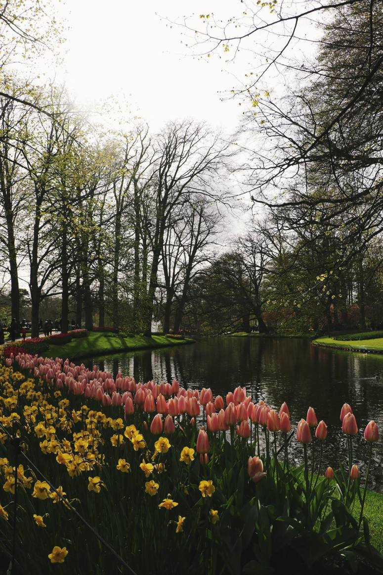 18052408_1730566880567173_1957775368_o