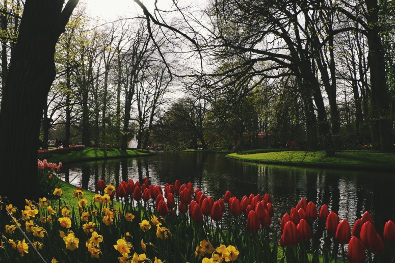 AirBrush_20170418200640