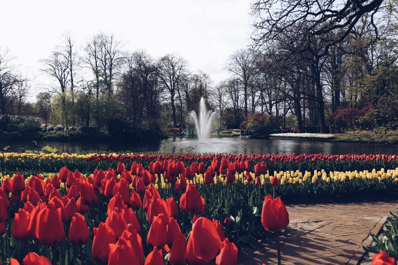 AirBrush_20170418200733